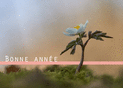 Fleurs &eacute;panouies pour une ann&eacute;e radieuse